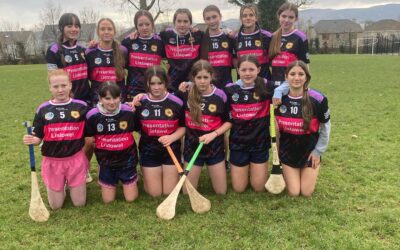 Camogie Blitz